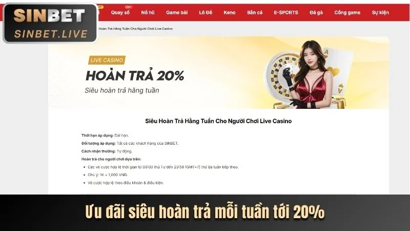 Minh họa chiến lược cá cược thông minh